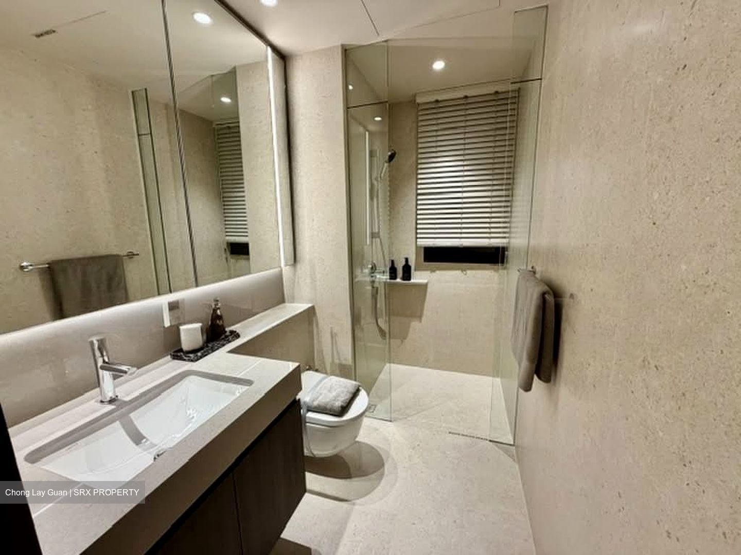 Hudson Place Residences (U/C) (D5), Apartment #595348591